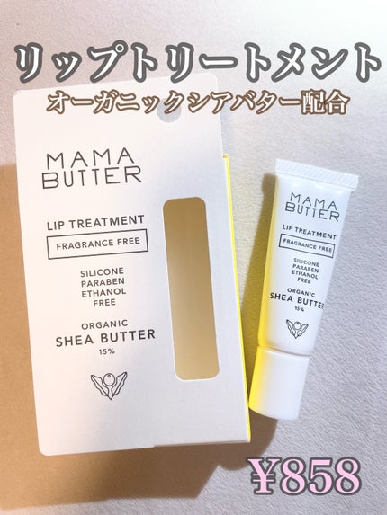 リップトリートメント無香料/ママバター/リップケアを使ったクチコミ(1枚目)