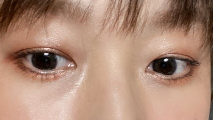 ビタートーンアイシャドウ/CEZANNE/パウダーアイシャドウを使ったクチコミ(6枚目)