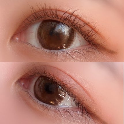 グロッシーリッチ アイズ N/Visée/アイシャドウパレットを使ったクチコミ(4枚目)