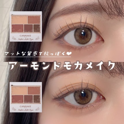 パーフェクトマルチアイズ/キャンメイク/アイシャドウパレットを使ったクチコミ(1枚目)