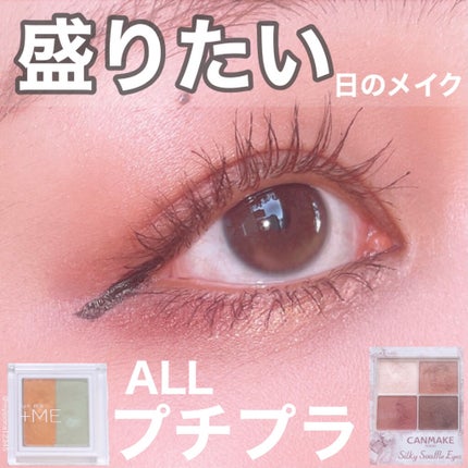 極細 アイライナーR/CEZANNE/リキッドアイライナーを使ったクチコミ(1枚目)