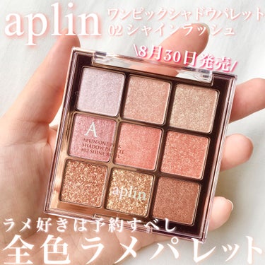 ワンピックアイシャドウパレット/APLIN/アイシャドウパレットを使ったクチコミ（1枚目）