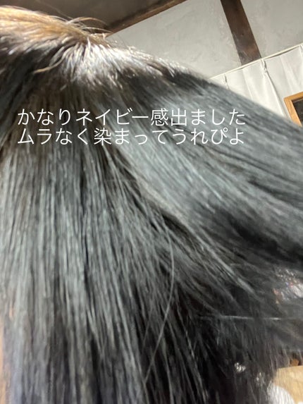 メイクアップカラー ネイビーブルー/ビューティーン/ヘアカラーの画像