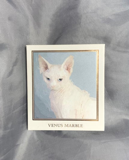 Venus Marble アイシャドウキャットシリーズ/Venus Marble/アイシャドウパレットを使ったクチコミ(1枚目)
