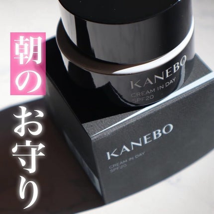 クリーム イン デイ/KANEBO/フェイスクリームを使ったクチコミ(1枚目)