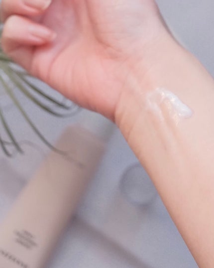 ライスピラー保湿クリーム/HAYEJIN/フェイスクリームを使ったクチコミ(4枚目)