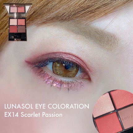 アイカラーレーション EX14(限定発売)/LUNASOL/アイシャドウパレットを使ったクチコミ(2枚目)