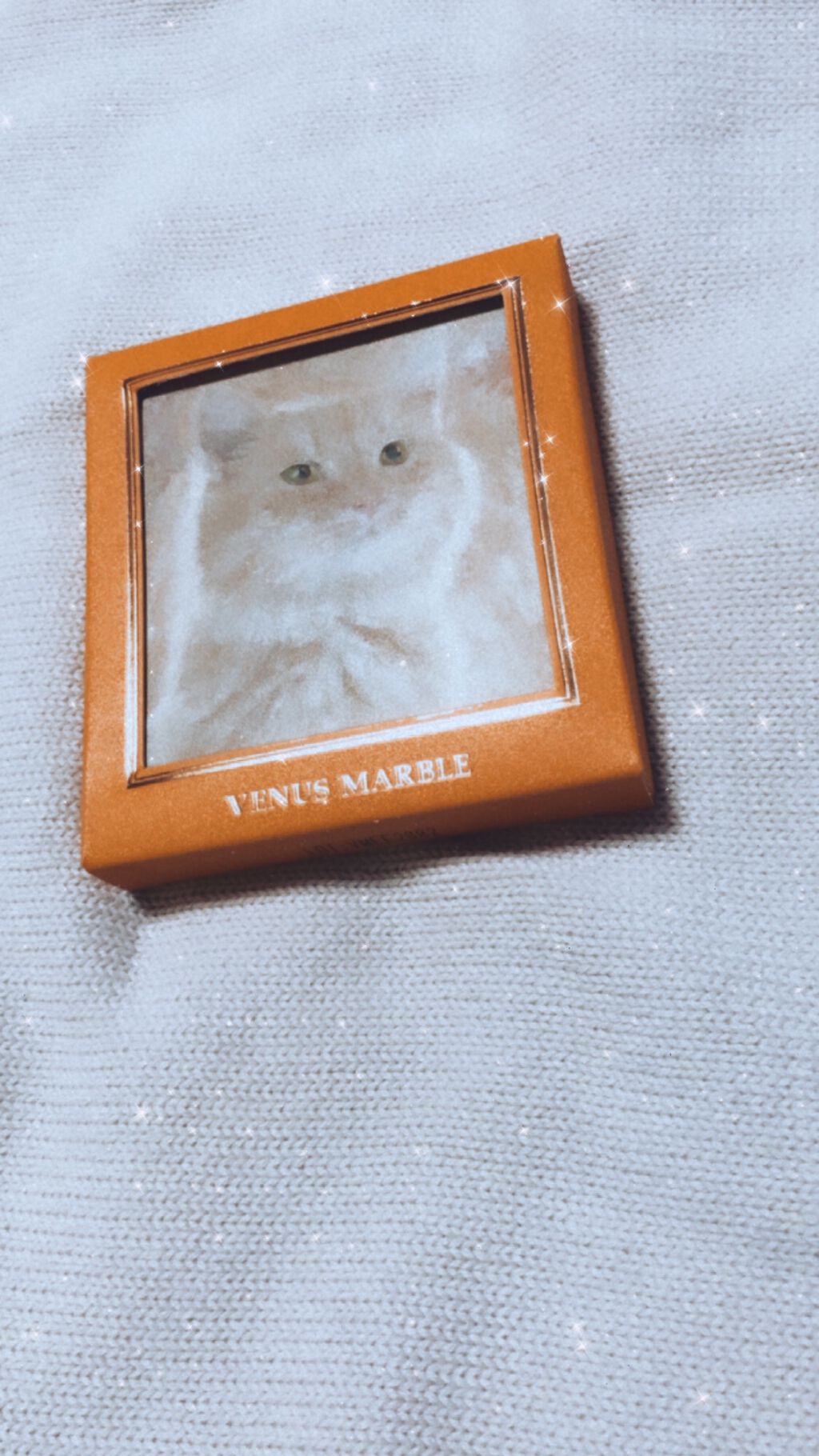 Venus Marble アイシャドウキャットシリーズ/Venus Marble/アイシャドウパレットを使ったクチコミ(1枚目)