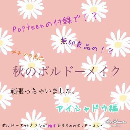 アイカラー2色タイプ/無印良品/アイシャドウパレットを使ったクチコミ(1枚目)