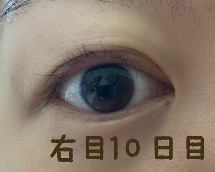 EMAKED(エマーキット)/水橋保寿堂製薬/まつげ美容液を使ったクチコミ(5枚目)