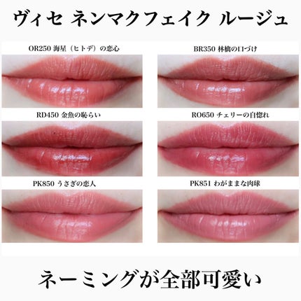 ネンマクフェイク ルージュ/Visée/口紅を使ったクチコミ(1枚目)