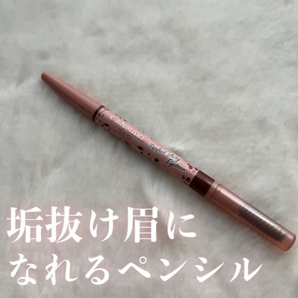 パーフェクトエアリーアイブロウ/キャンメイク/アイブロウペンシルを使ったクチコミ(1枚目)