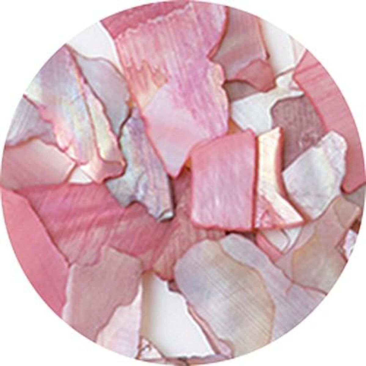 ナチュラルビーチシェル S-2 ベージュMIX