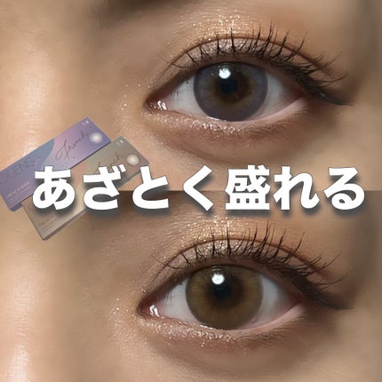 FrenchShine1day/OLENS/ワンデー(1DAY)カラコンを使ったクチコミ(1枚目)
