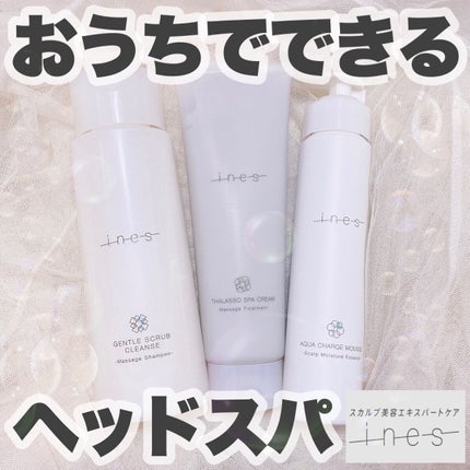 ジェントル スクラブ クレンズ/ines/市販シャンプーを使ったクチコミ(1枚目)