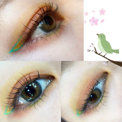 フーミー アイシャドウパレット yolk yellow/WHOMEE/アイシャドウパレットを使ったクチコミ(2枚目)