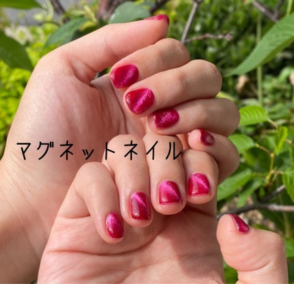 マグネットジェル/ネイル工房/ジェルネイルを使ったクチコミ(1枚目)