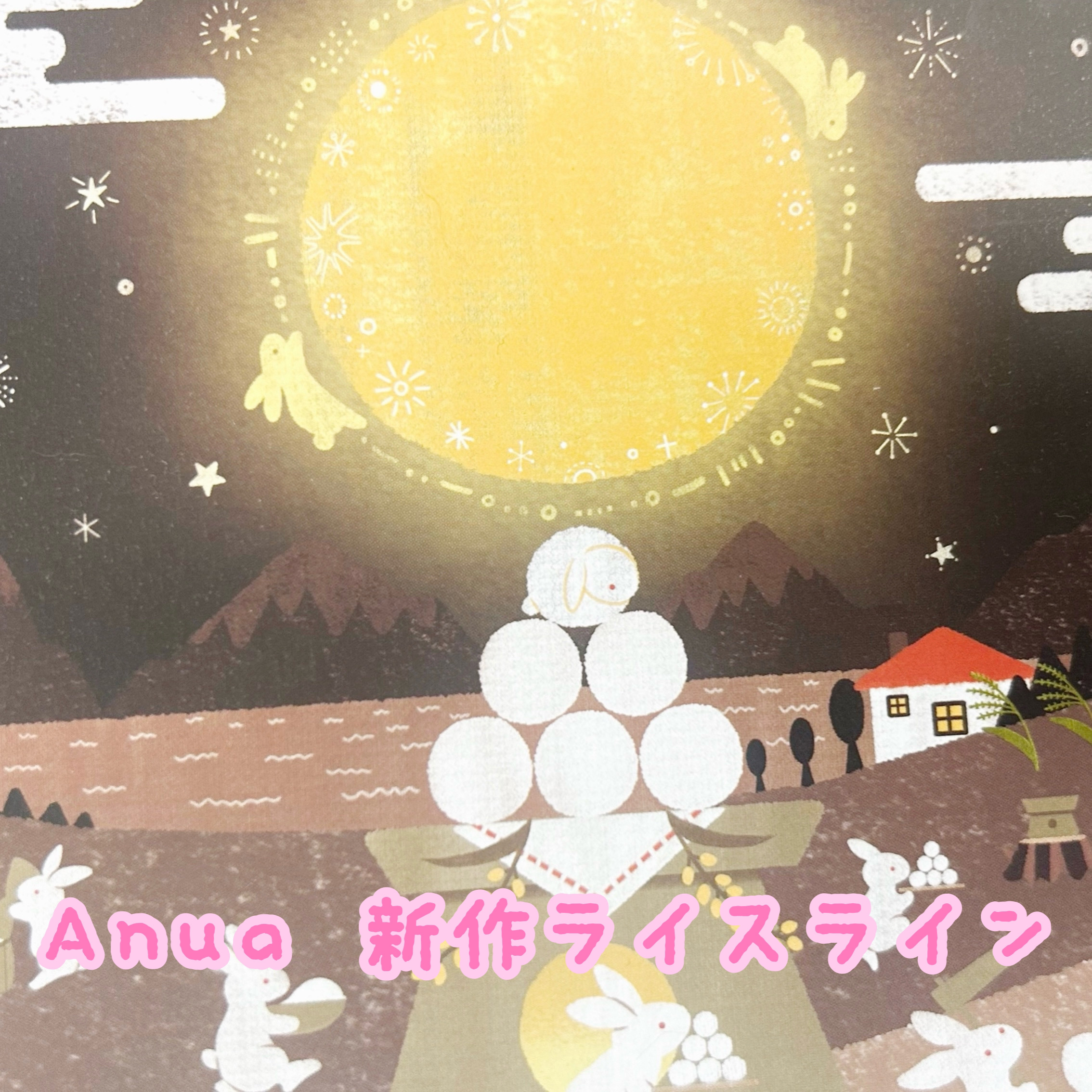 ライス70 発酵保湿マスクパック/Anua/シートマスク・パックを使ったクチコミ（2枚目）