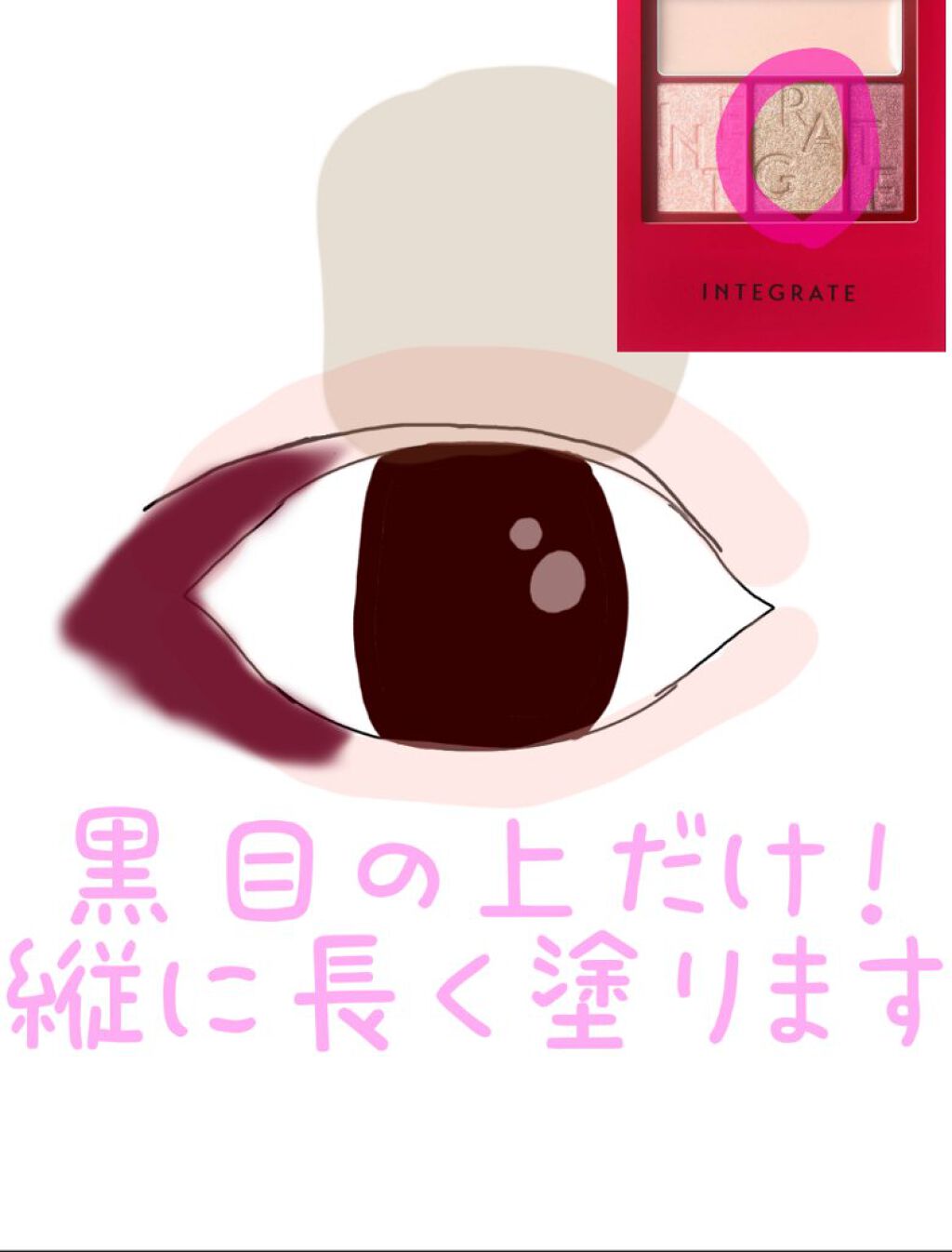 アクセントカラーアイズ CC/インテグレート/アイシャドウパレットを使ったクチコミ(4枚目)