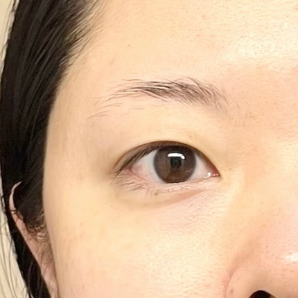 デザイニングアイブロウリクイド/KANEBO/リキッドアイブロウを使ったクチコミ(2枚目)