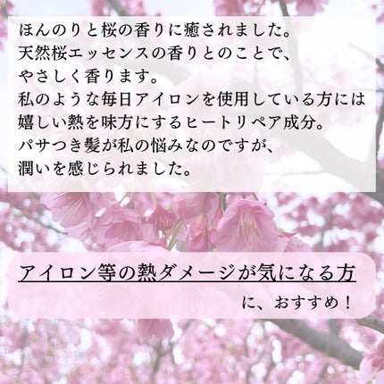 THE PREMIUM ãšã¯ã¹ãã©ãã¡ãŒãžã±ã¢ã·ã£ã³ããŒïŒããªãŒãã¡ã³ãïŒã·ã£ã€ããŒã¢ã€ã¹ãïŒ/ãã¡é«ª/åžè²©ã·ã£ã³ããŒã䜿ã£ãã¯ãã³ãïŒ4æç®ïŒ