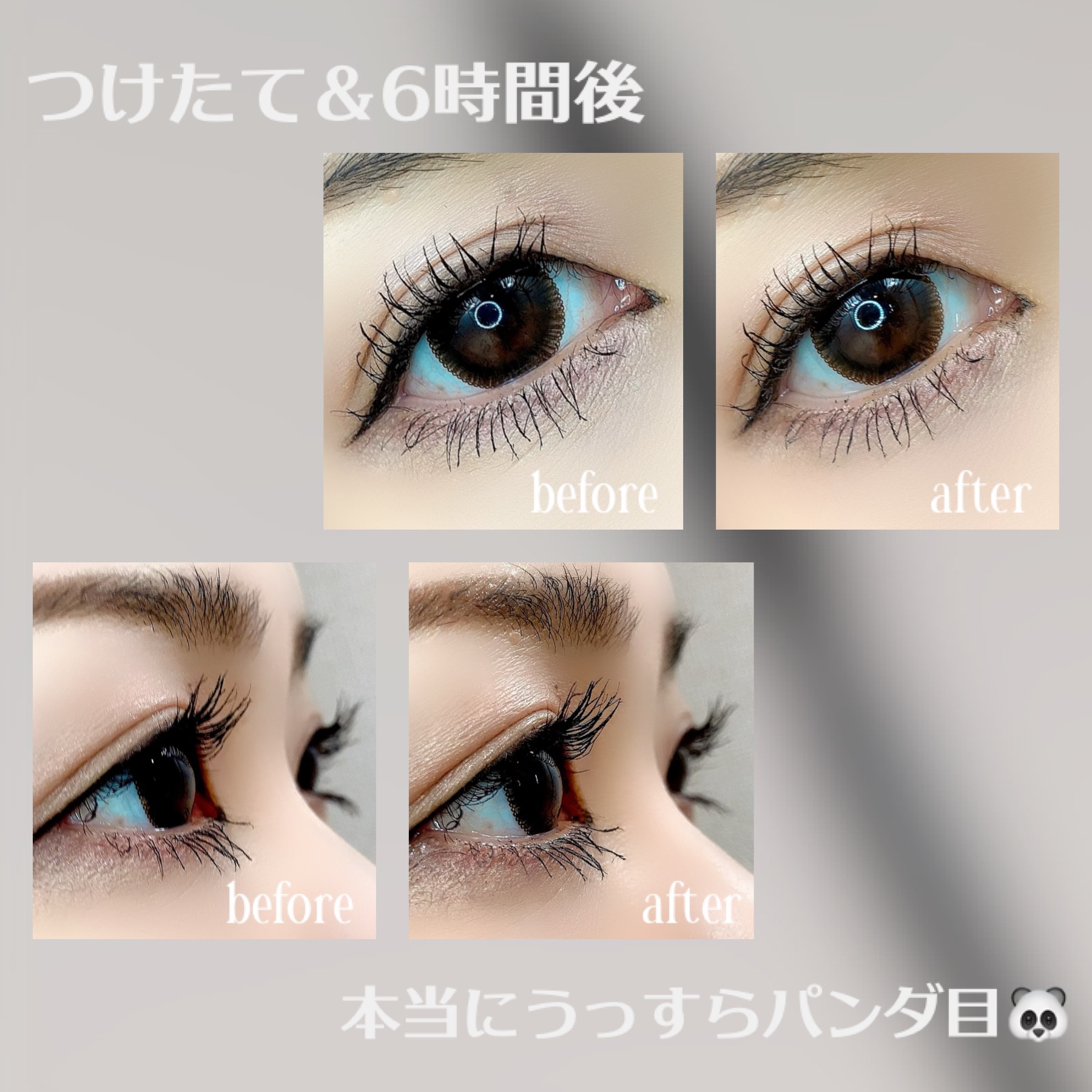 パーマネントカール フィクサー WP/FASIO/マスカラ下地を使ったクチコミ（3枚目）