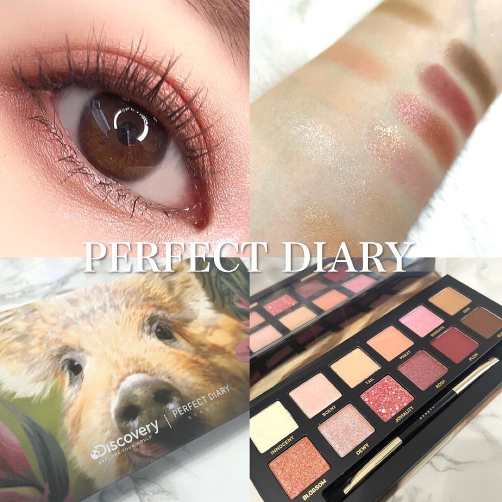 エクスプローラ12色 動物アイシャドウパレット/PERFECT DIARY/アイシャドウパレットを使ったクチコミ(1枚目)