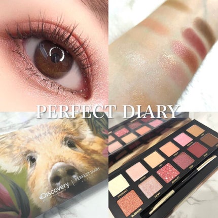 エクスプローラ12色 動物アイシャドウパレット/PERFECT DIARY/アイシャドウパレットを使ったクチコミ(1枚目)