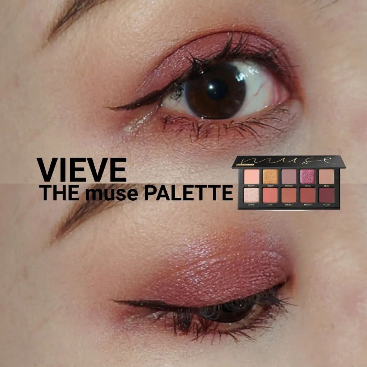 THE MUSE EYESHADOWPALETTE/VIEVE/アイシャドウパレットを使ったクチコミ（1枚目）