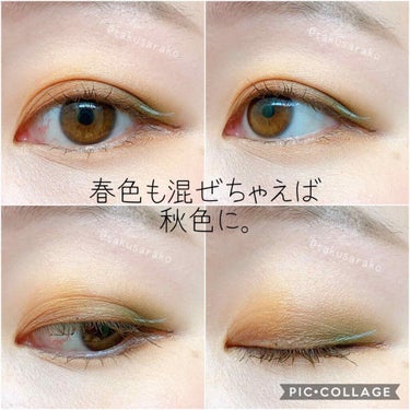 クロマティックス - サクラ コッパー/shu uemura/アイシャドウパレットを使ったクチコミ（2枚目）