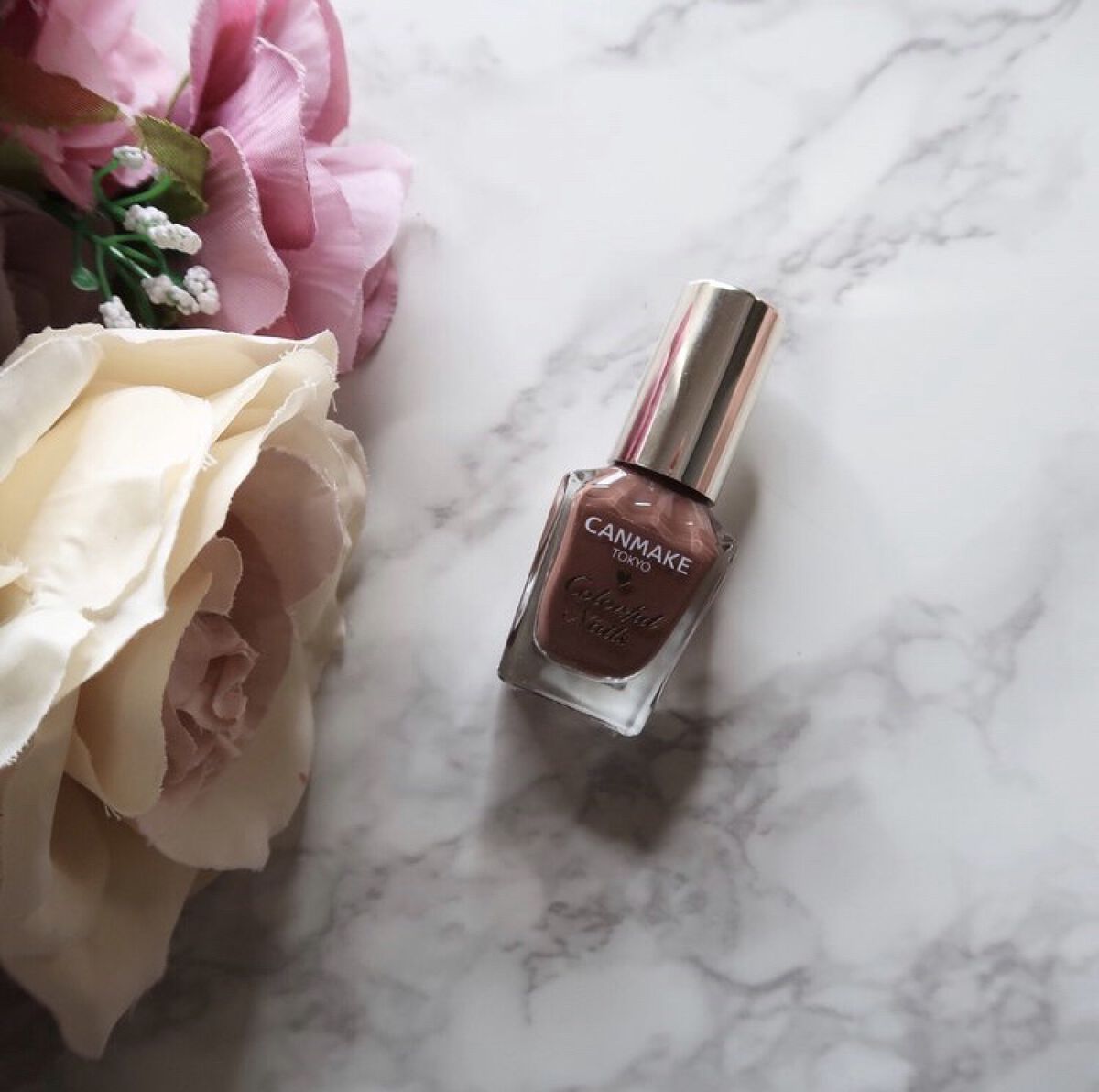 カラフルネイルズ N15 チョコレートシロップ/キャンメイク/マニキュアを使ったクチコミ（1枚目）