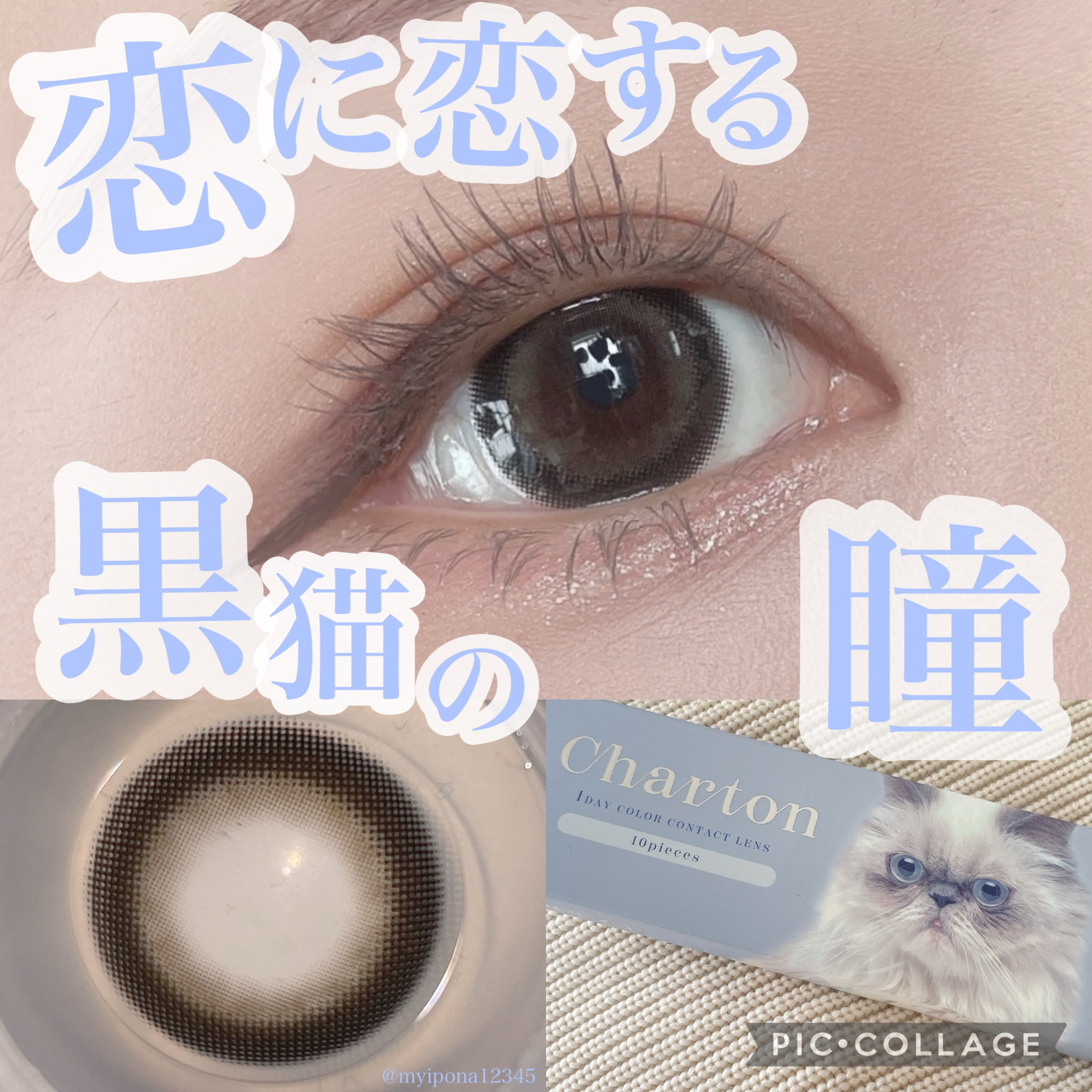 Charton 1day/Charton/ワンデー（１DAY）カラコンを使ったクチコミ（1枚目）