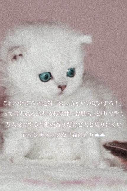 Romantic Deep Bubbles/inch blank_. /香水(レディース)を使ったクチコミ(3枚目)