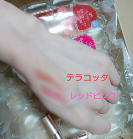 オペラ リップティント N/OPERA/リップティントを使ったクチコミ(3枚目)