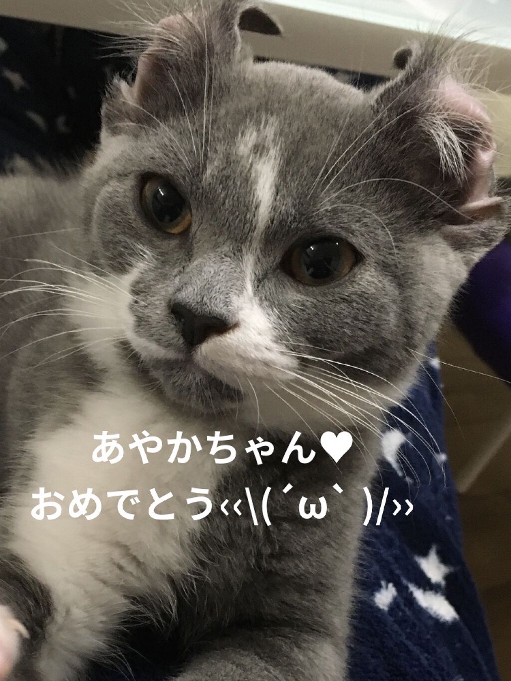 その他/その他洗顔料を使ったクチコミ（2枚目）