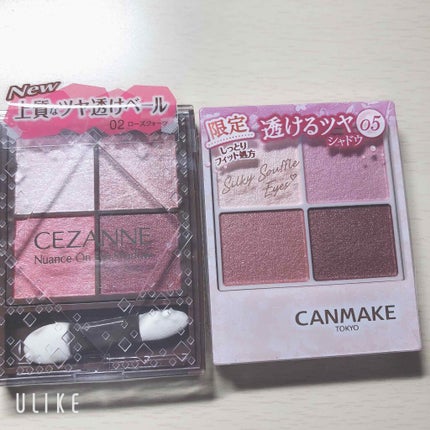 ニュアンスオンアイシャドウ/CEZANNE/アイシャドウパレットを使ったクチコミ(2枚目)