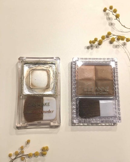 シェーディングパウダー/キャンメイク/シェーディングを使ったクチコミ(1枚目)