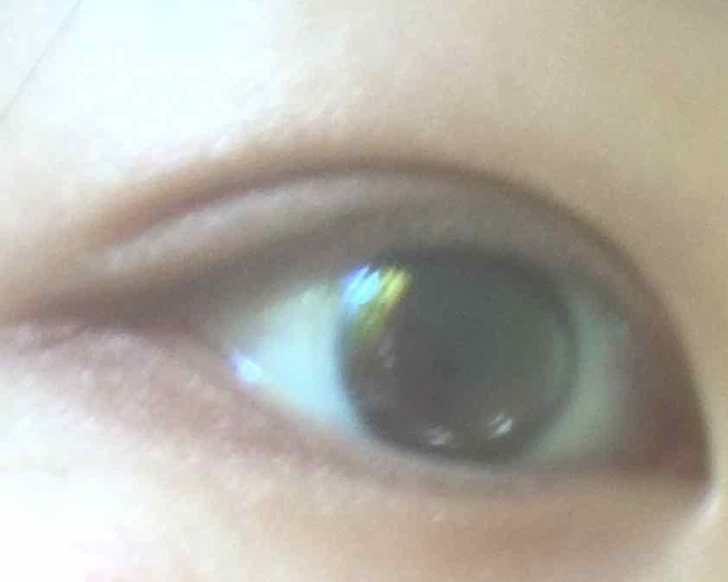 ブラウンシェードアイズN/KATE/アイシャドウパレットを使ったクチコミ（3枚目）