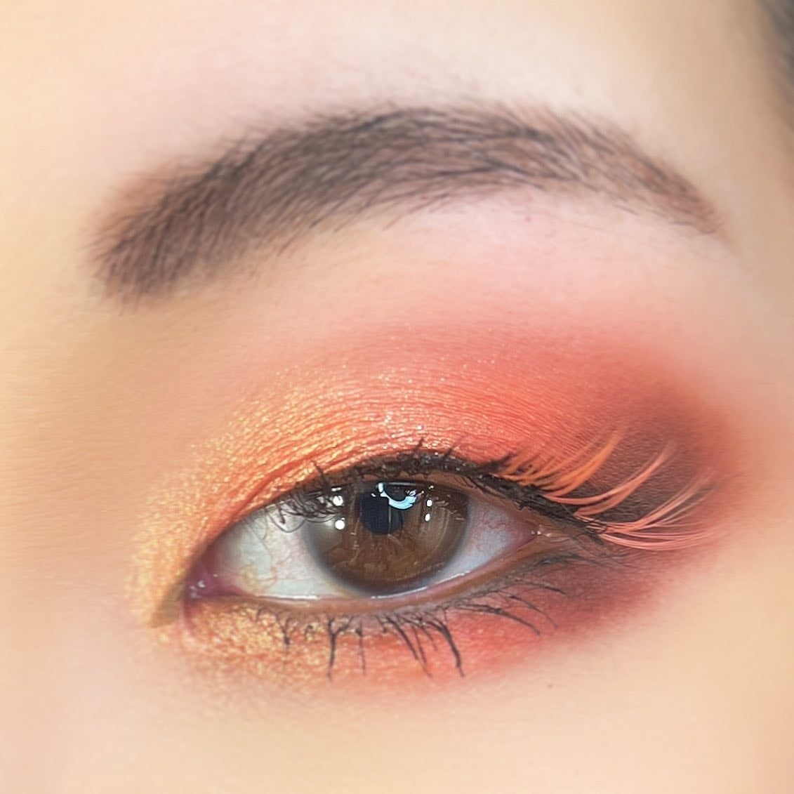 大英博物館 エジプトシリーズ アイシャドウパレット/ZEESEA/アイシャドウパレットを使ったクチコミ(3枚目)