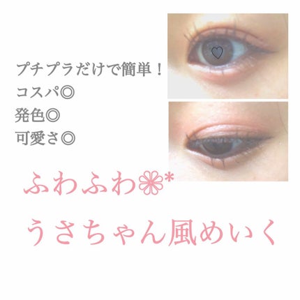 アイ カラー(チップ付)/ちふれ/アイシャドウパレットを使ったクチコミ(1枚目)