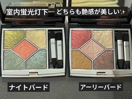 サンク クルール クチュール<バーズ オブ ア フェザー>/Dior/アイシャドウパレットを使ったクチコミ(2枚目)