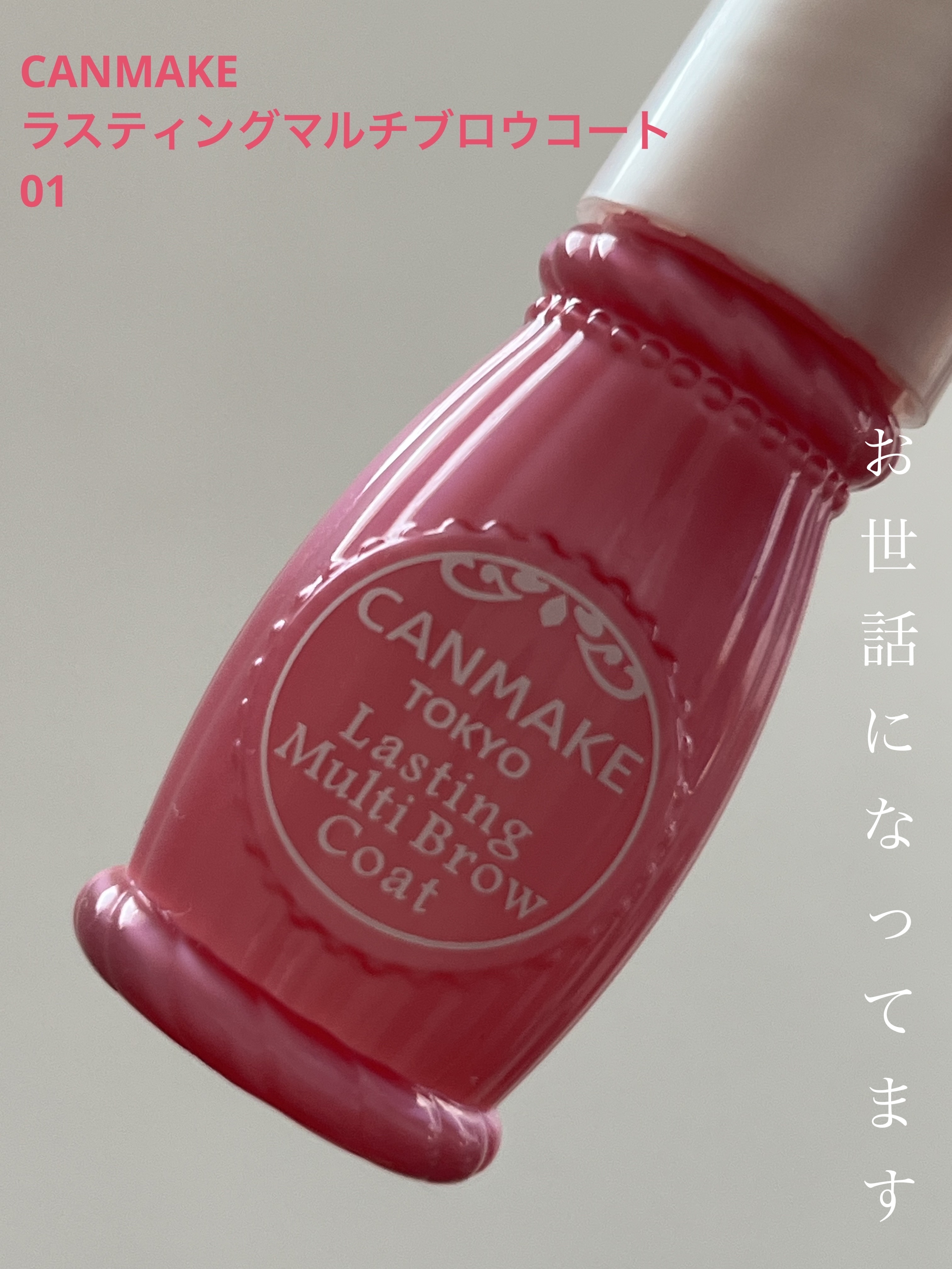 ラスティングマルチブロウコート/キャンメイク/アイブロウコートを使ったクチコミ（1枚目）