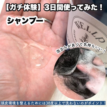 薬用スカルプケアシャンプー/トリートメント モイスト/WELLP/市販シャンプーを使ったクチコミ(4枚目)
