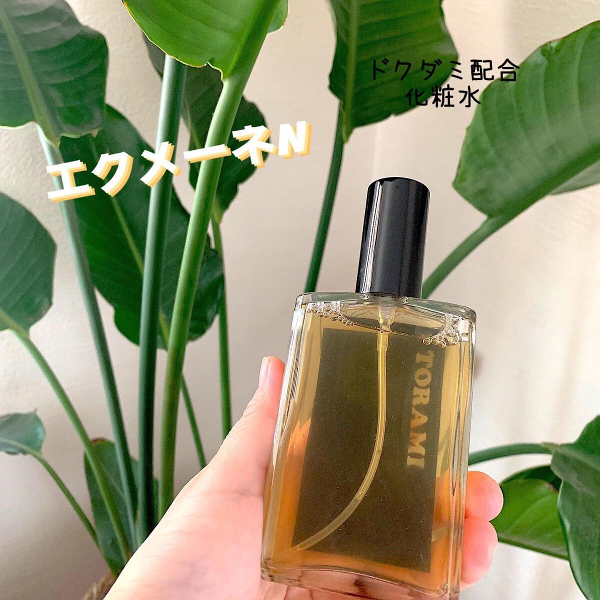 エクメーネn/TORAMI/化粧水を使ったクチコミ（1枚目）