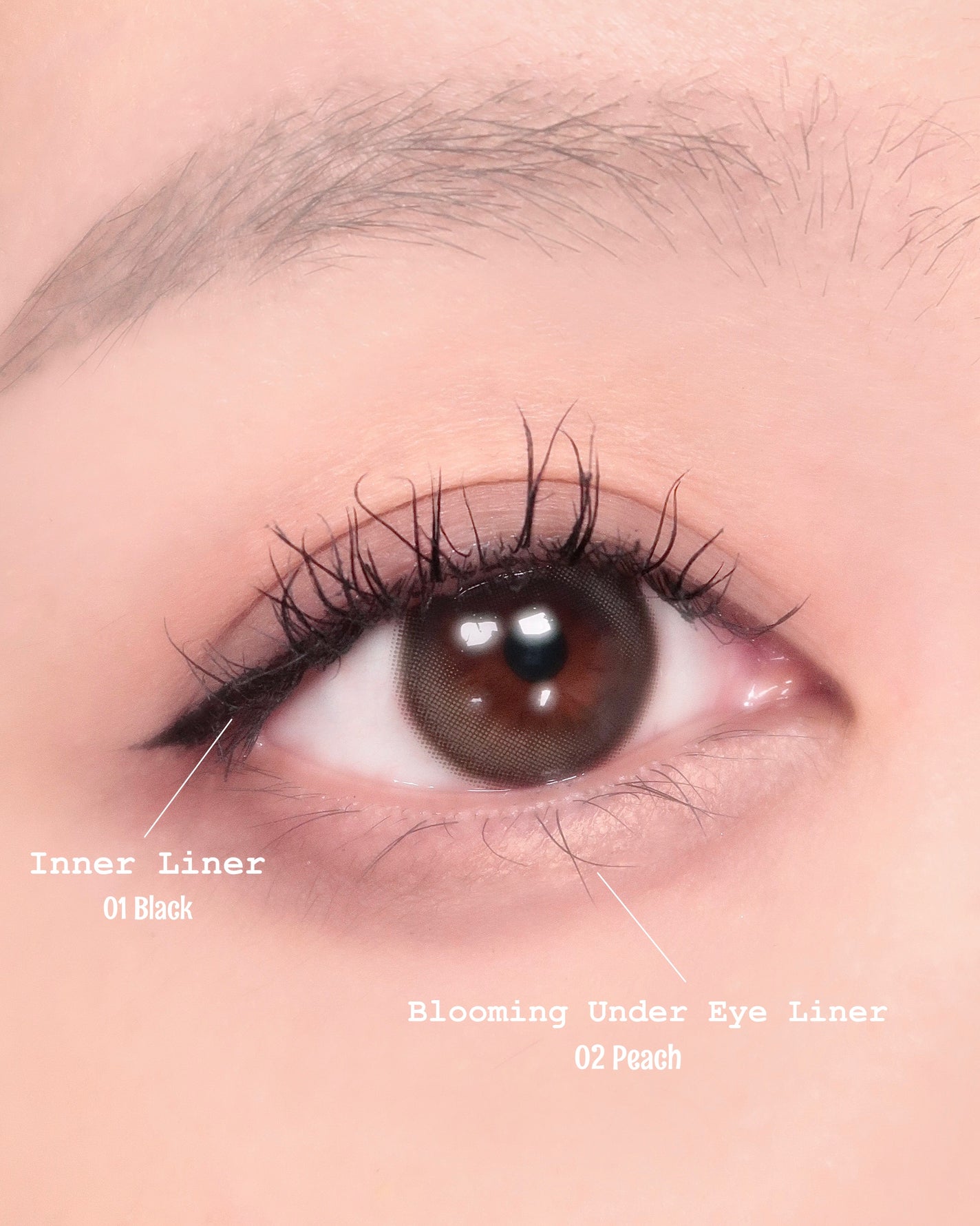 インナーライナー/TLTC/リキッドアイライナーを使ったクチコミ(1枚目)