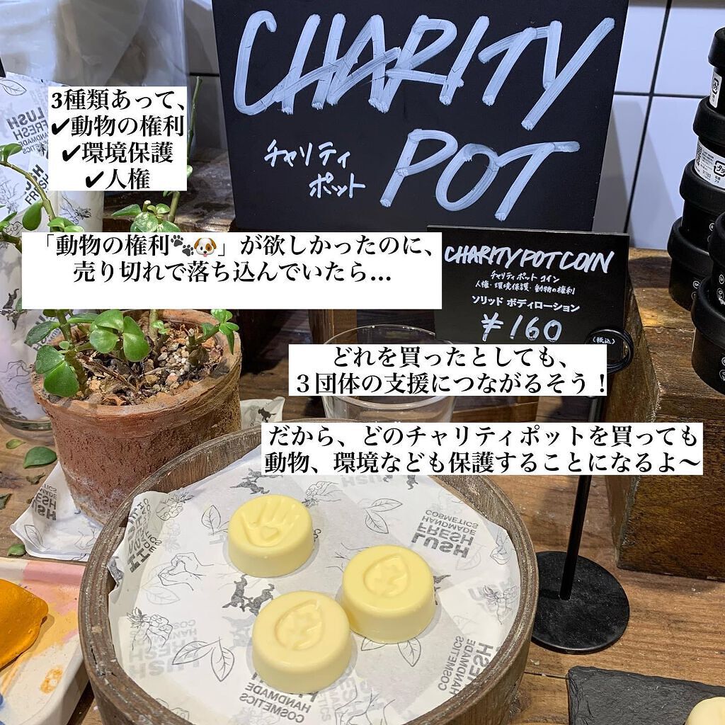 チャリティポット コイン/ラッシュ/ボディローションを使ったクチコミ（3枚目）