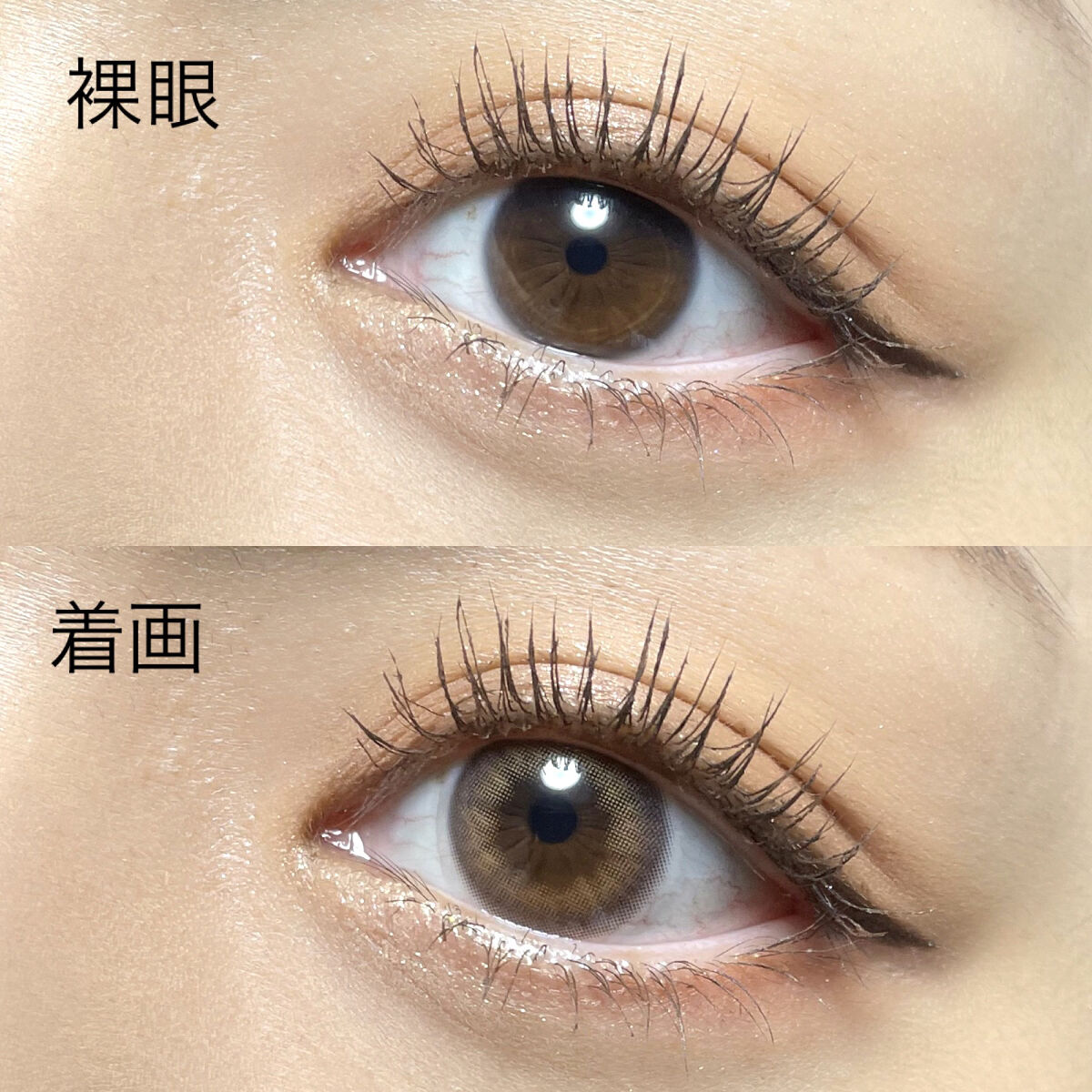 cloud pudding pink brown/chuu LENS/カラーコンタクトレンズを使ったクチコミ（3枚目）