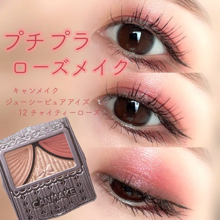 ジューシーピュアアイズ/キャンメイク/アイシャドウパレットを使ったクチコミ(1枚目)