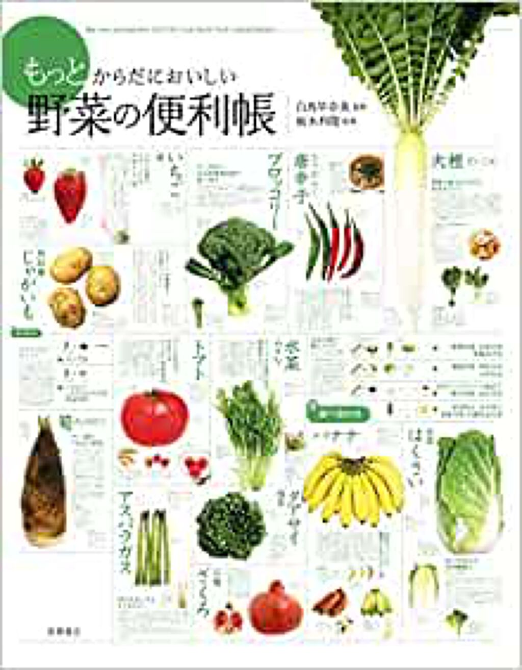 高橋書店 もっとからだにおいしい野菜の便利帳