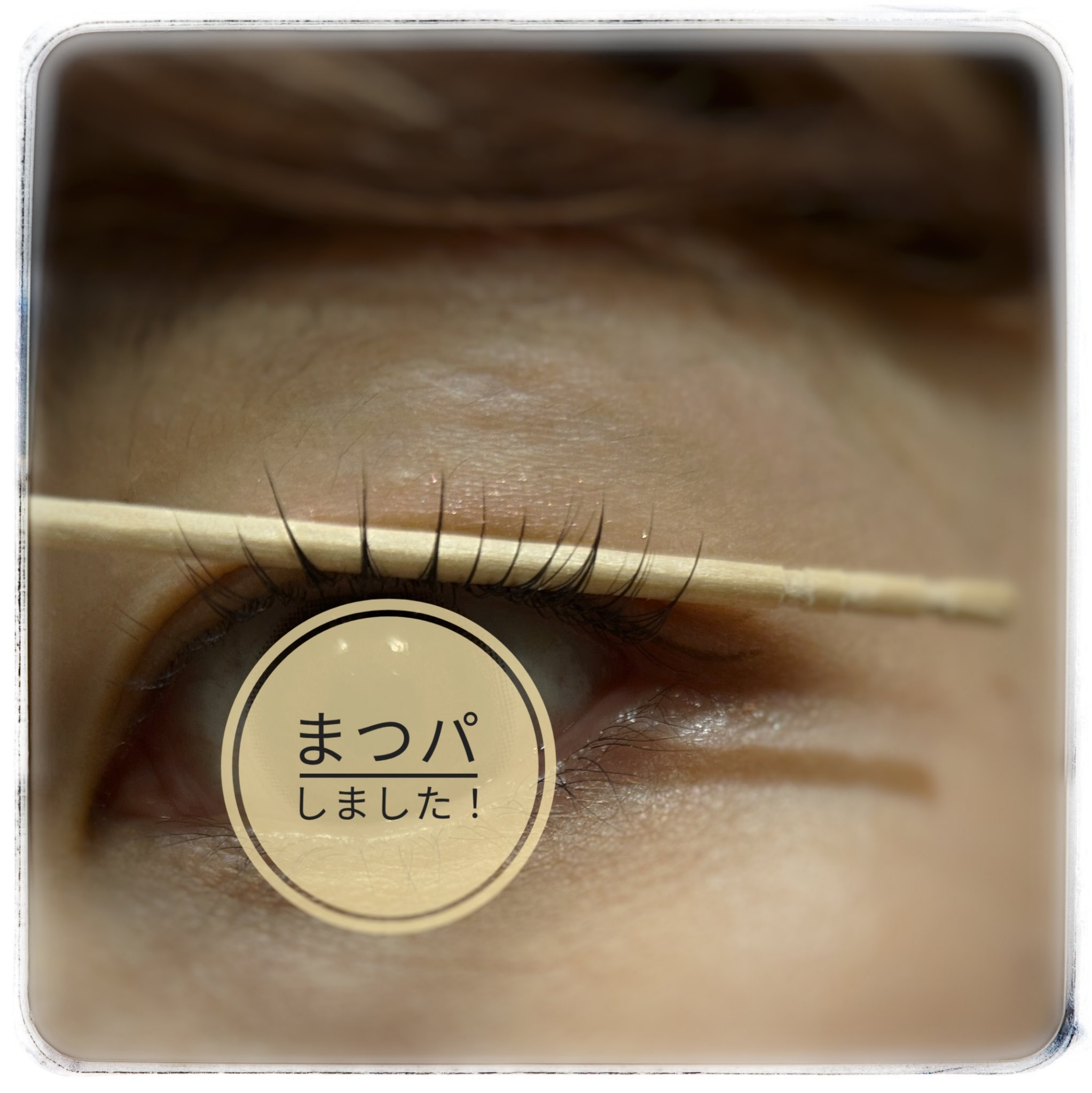 スカルプD アイラッシュセラム ピュア/アンファー(スカルプD)/まつげ美容液を使ったクチコミ（2枚目）